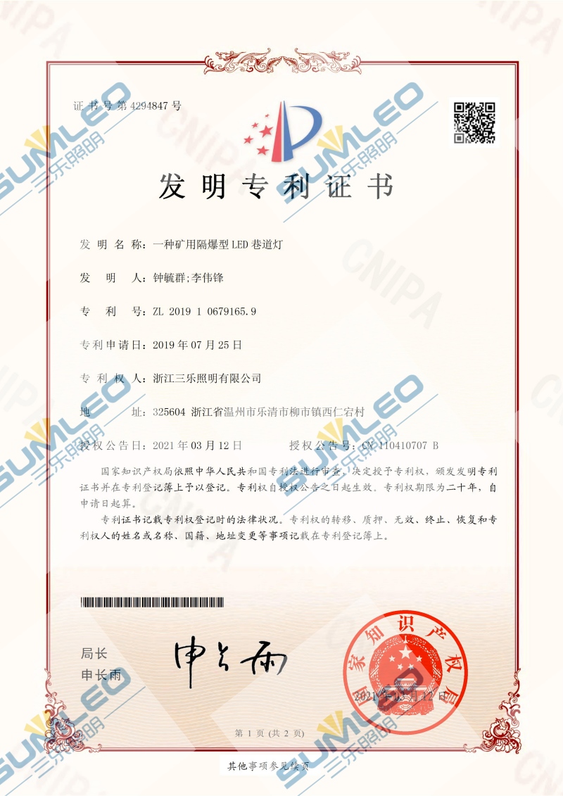专利11